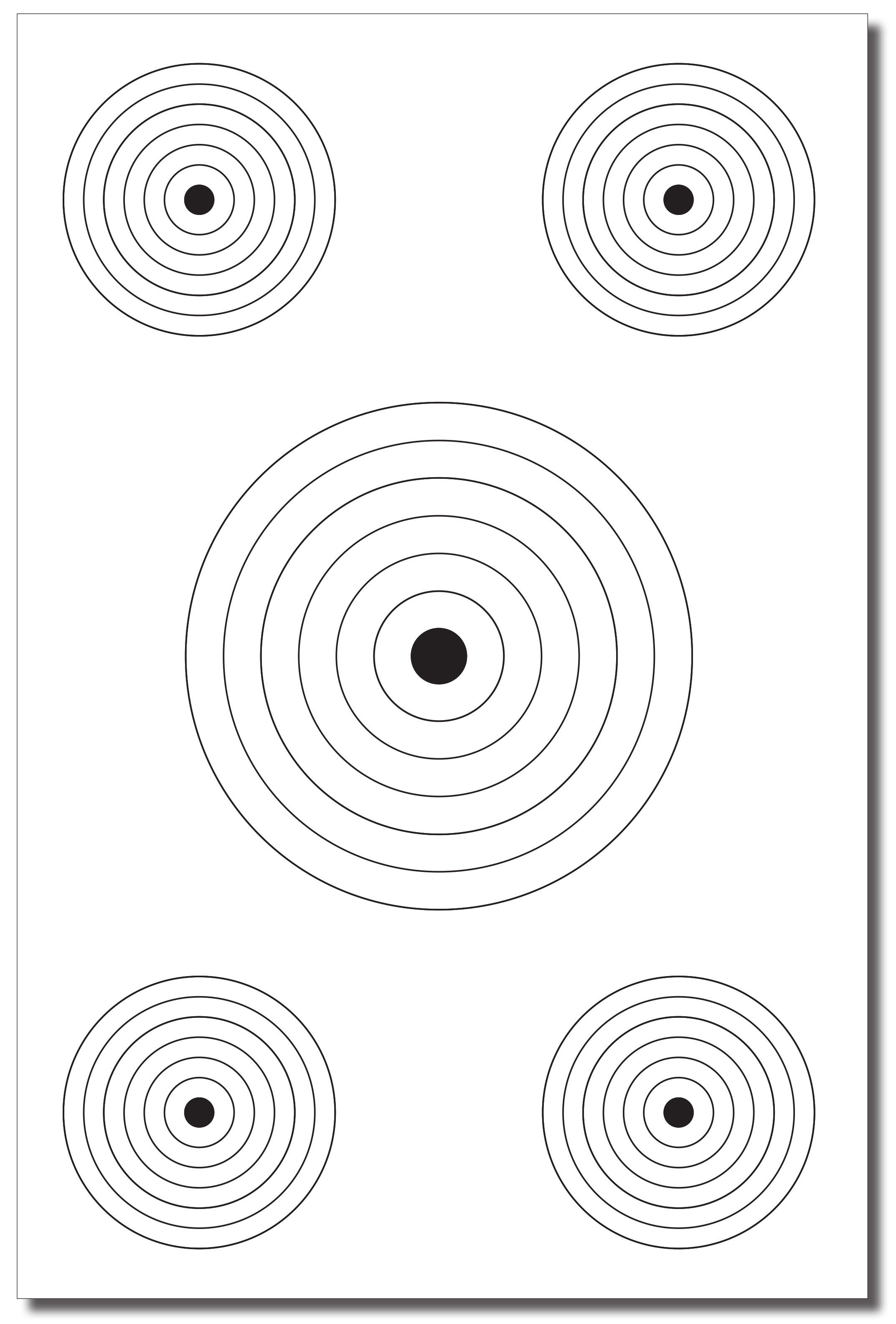 BullsEye 23" x 35" Shooting Targets